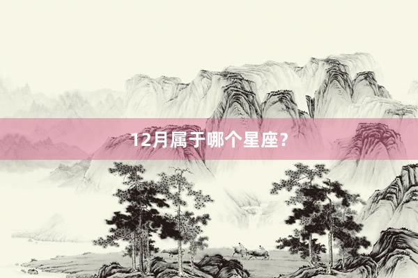 12月属于哪个星座？