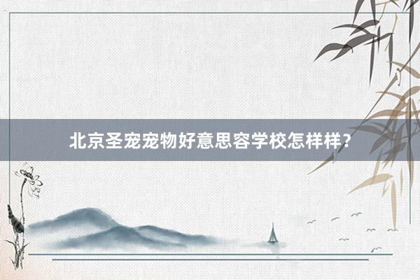 北京圣宠宠物好意思容学校怎样样?