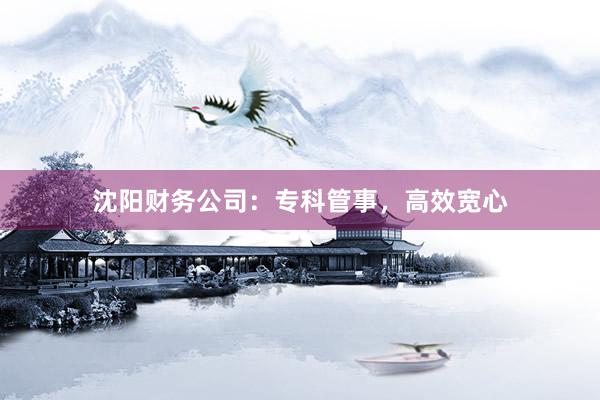 沈阳财务公司：专科管事，高效宽心